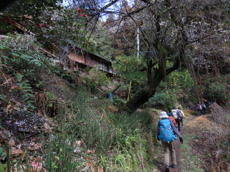 日和田山、物見山